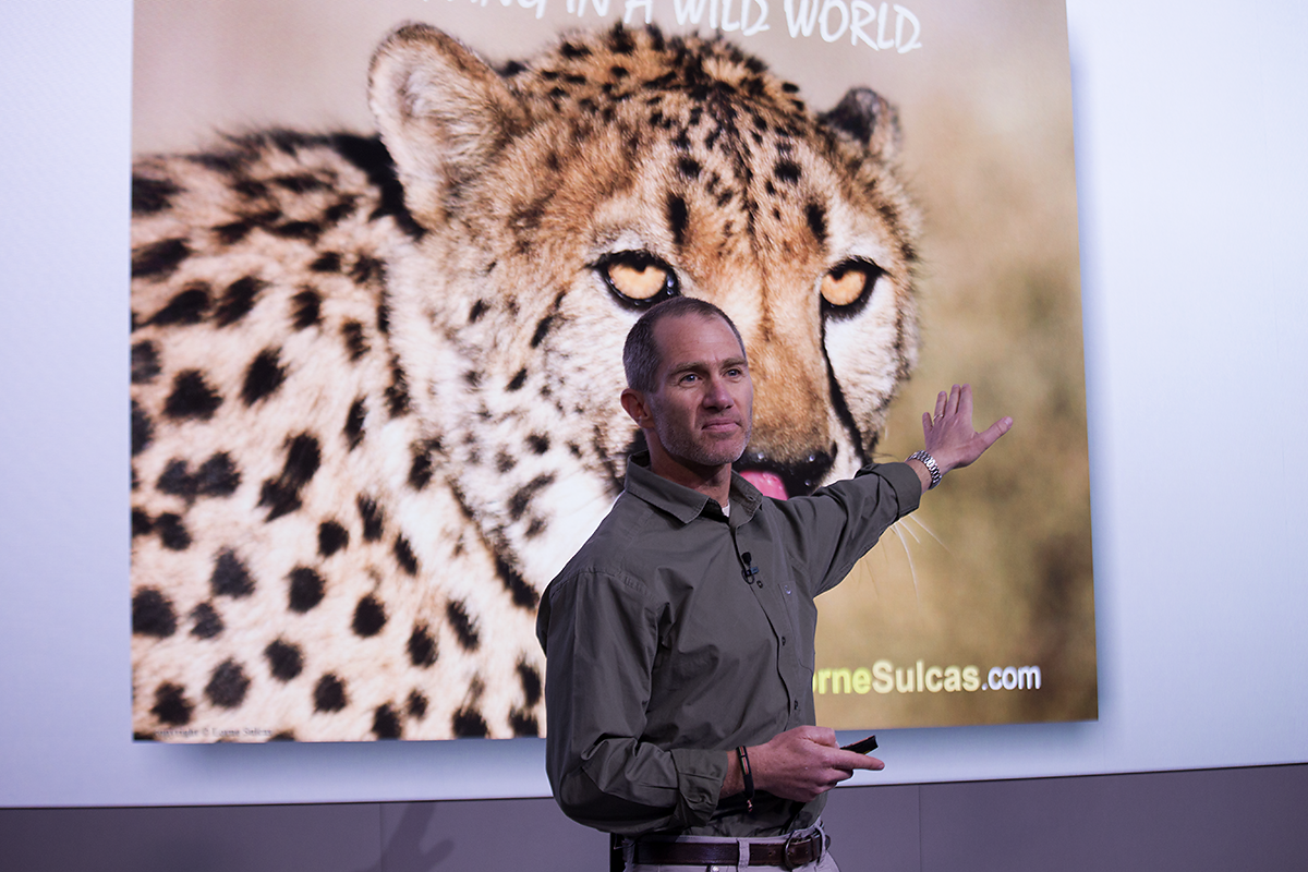 Lorne Sulcas - The Big Cat Guy Image